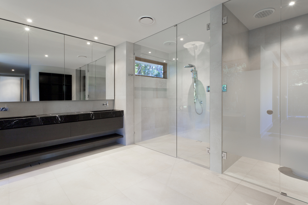 Luxury Shower Door