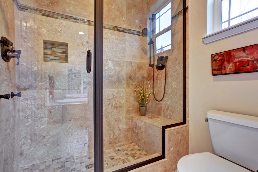 Glass Shower Door